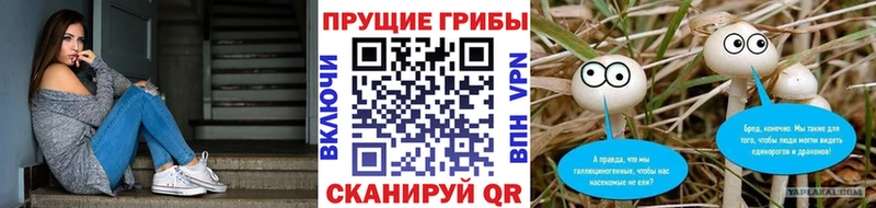 мориарти какой сайт  Арамиль  Галлюциногенные грибы ЛСД 